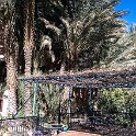 MAR DRA Tinghir 2017JAN03 HotelKasbahAmazir 005 : 2016 - African Adventures, 2017, Africa, Date, Drâa-Tafilalet, Hotel Kasbah Amazir, January, Month, Morocco, Northern, Places, Tinghir, Trips, Year